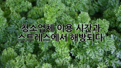 청소업체 이용, 시간과 스트레스에서 해방되다!
