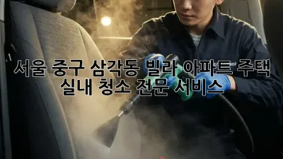 서울 중구 삼각동 빌라, 아파트, 주택 실내 청소 전문 서비스